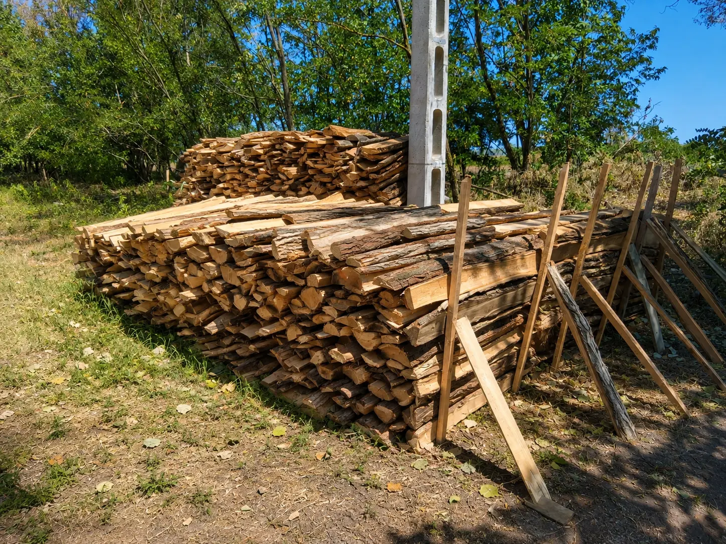Tűzifa